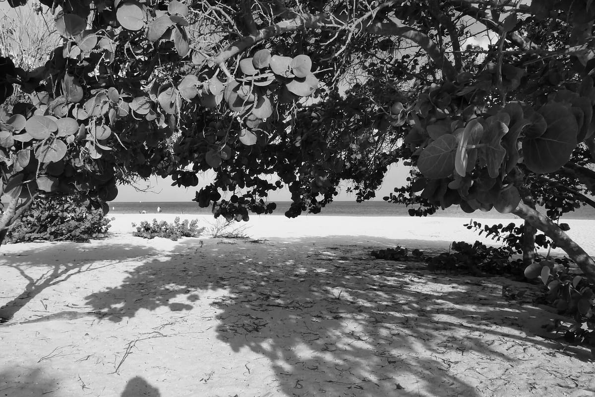 Eagle Beach