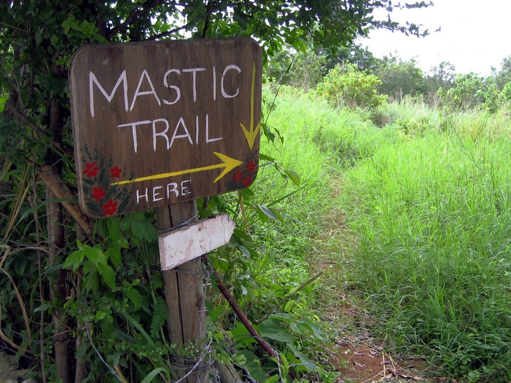 Mastic Trail