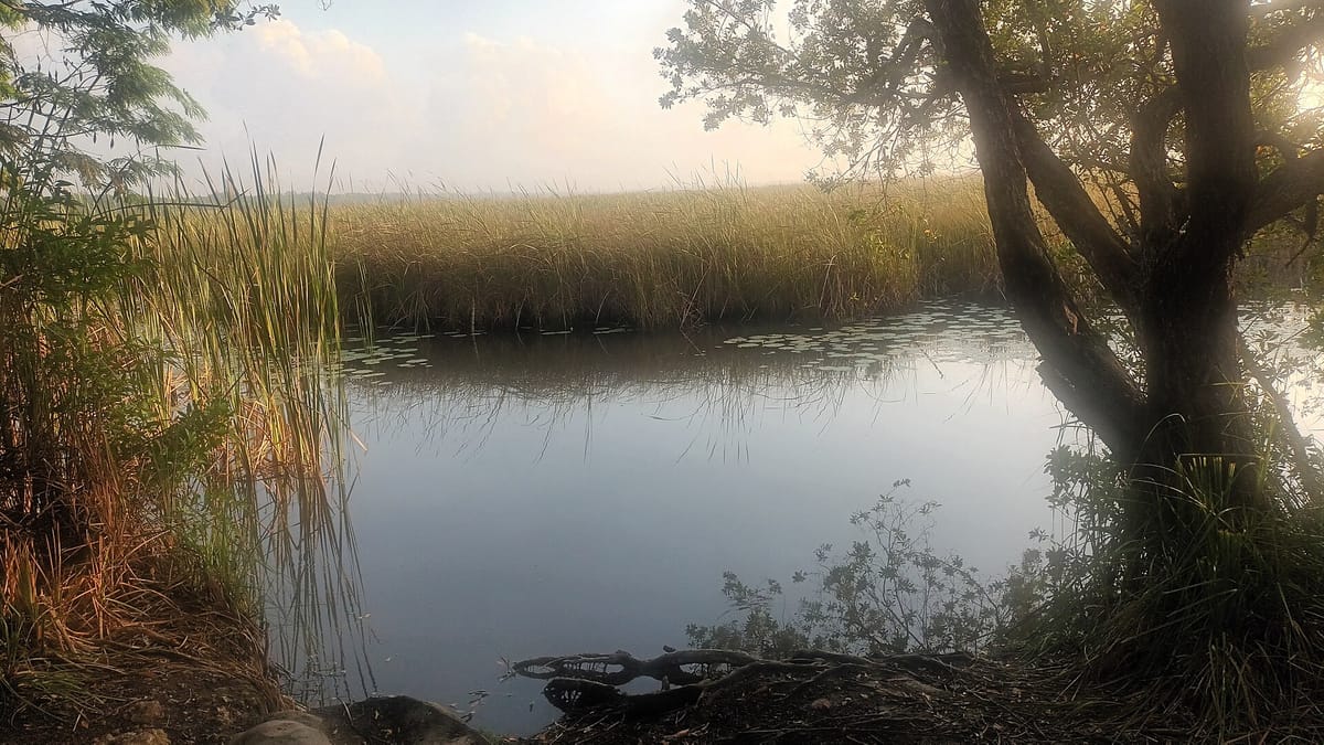 Ciénaga de Zapata National Park