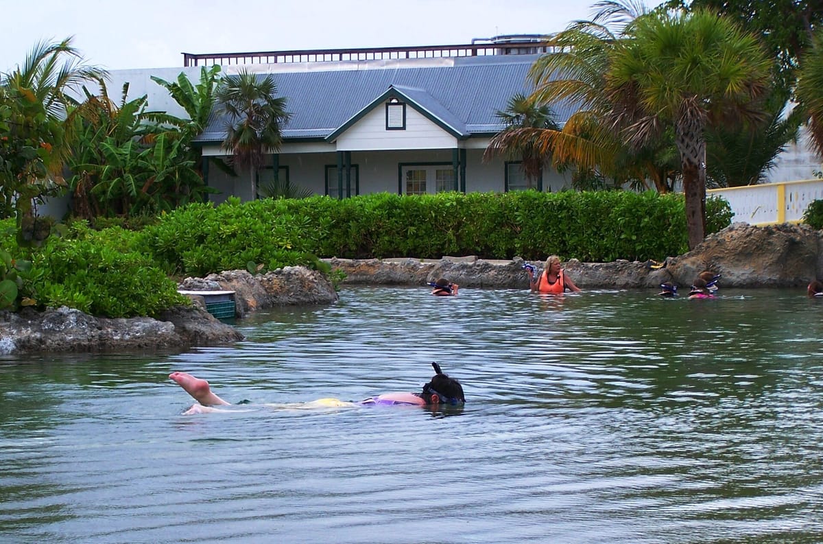 Cayman Turtle Centre