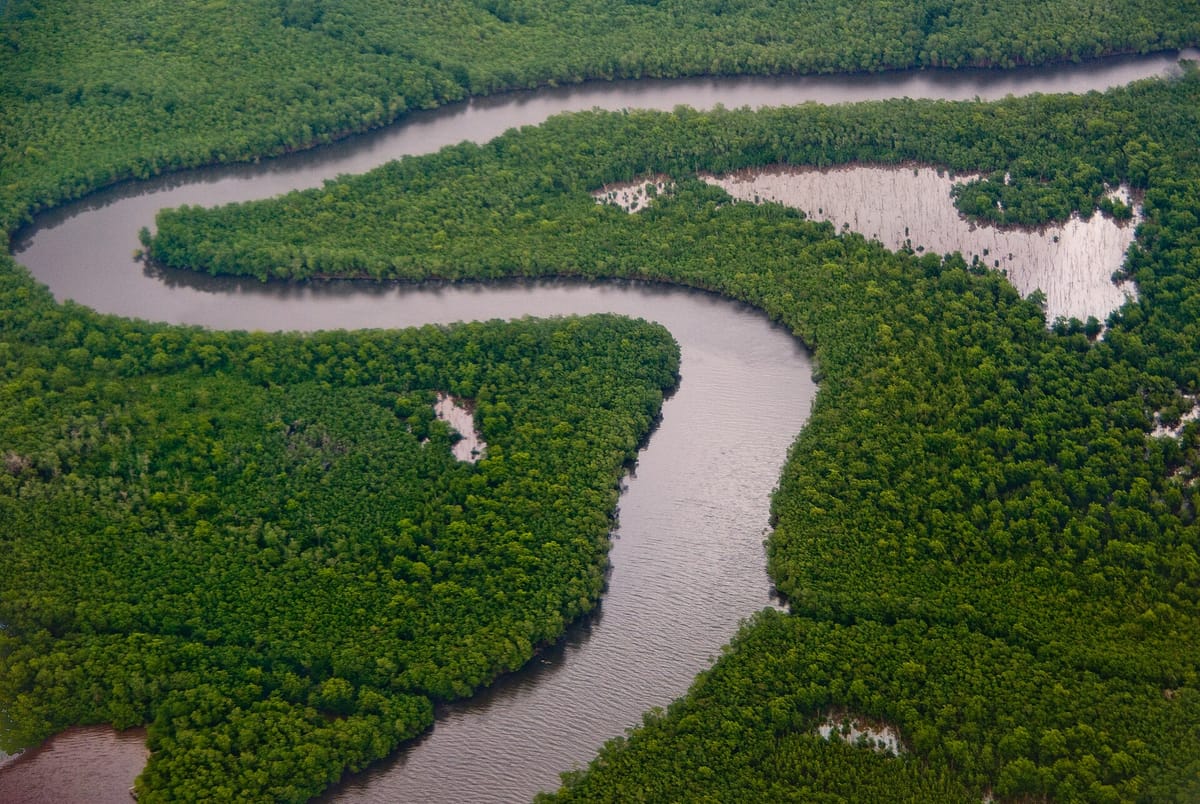 Caroni Bird Sanctuary