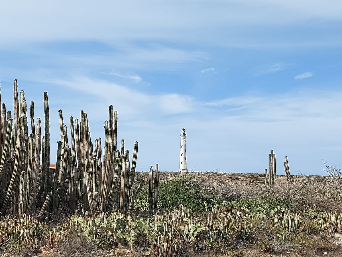 California Lighthouse