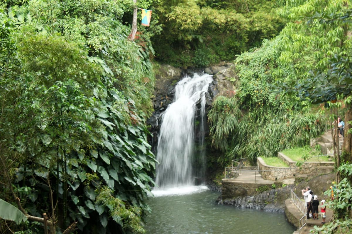 Annandale Falls
