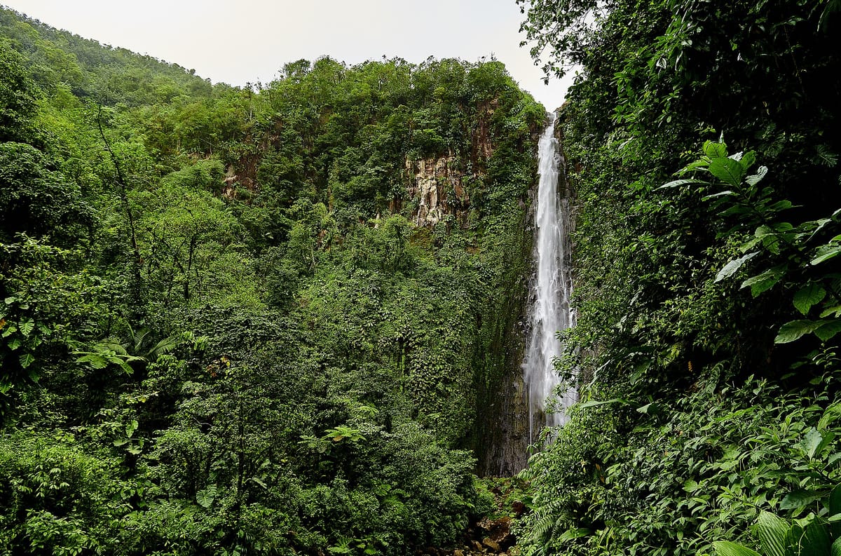 Chutes du Carbet