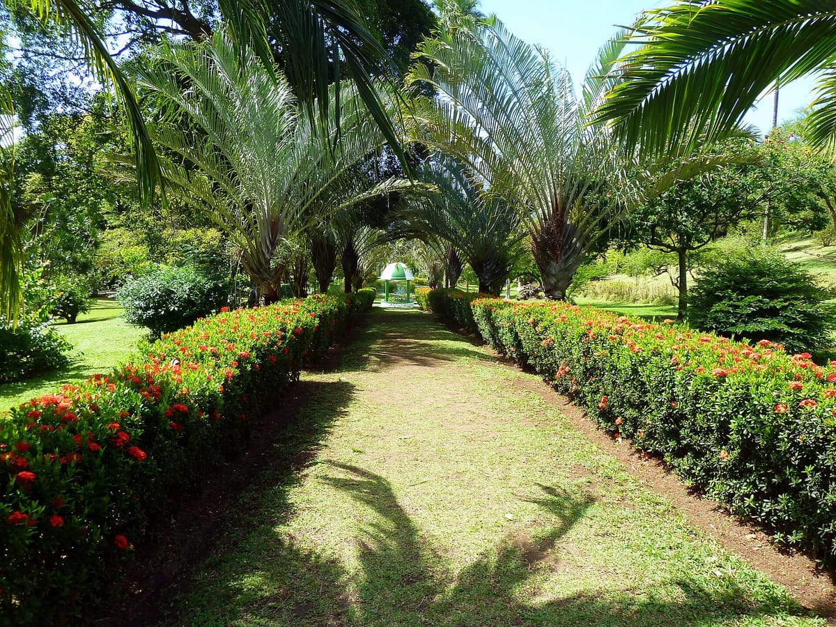 Saint Vincent Botanic Gardens