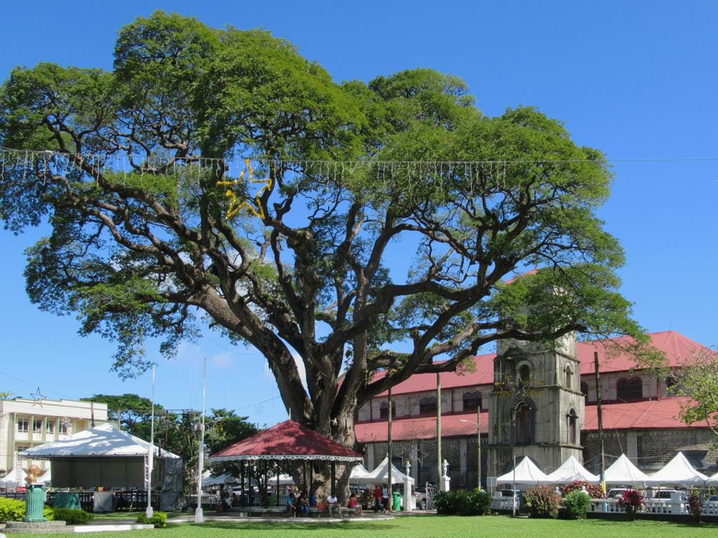 Derek Walcott Square