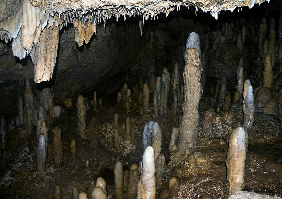 Harrison's Cave