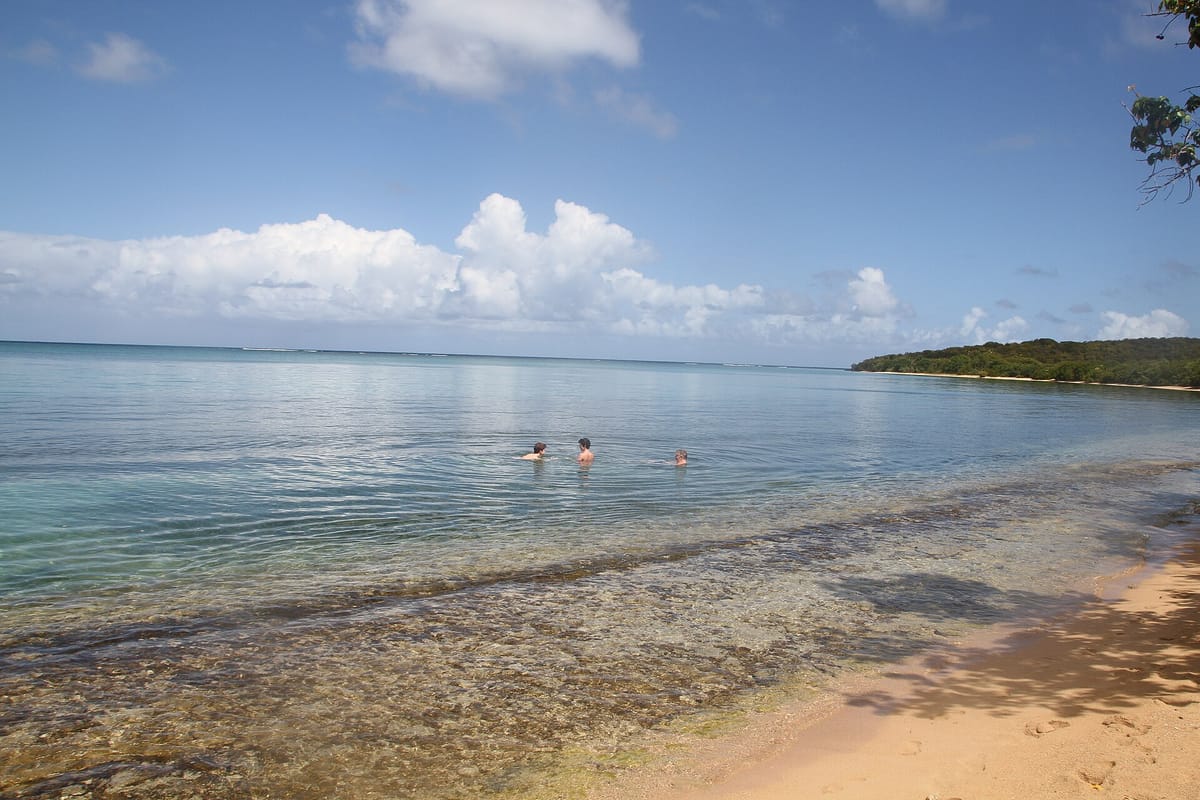 Las Cabezas de San Juan Nature Reserve