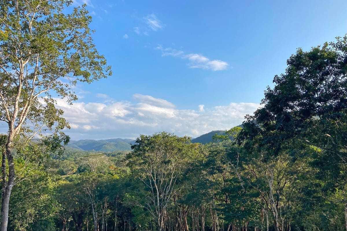The Lodge at Chaa Creek