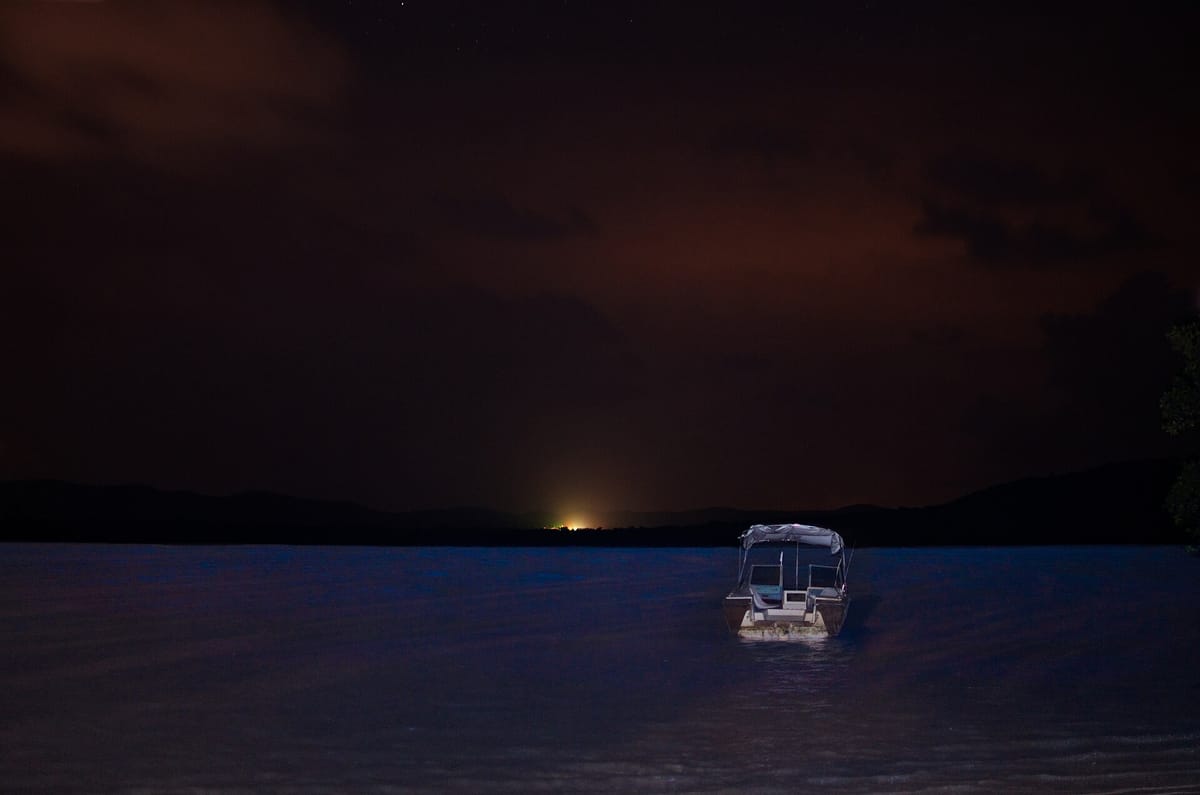 Mosquito Bay (Bioluminescent Bay)