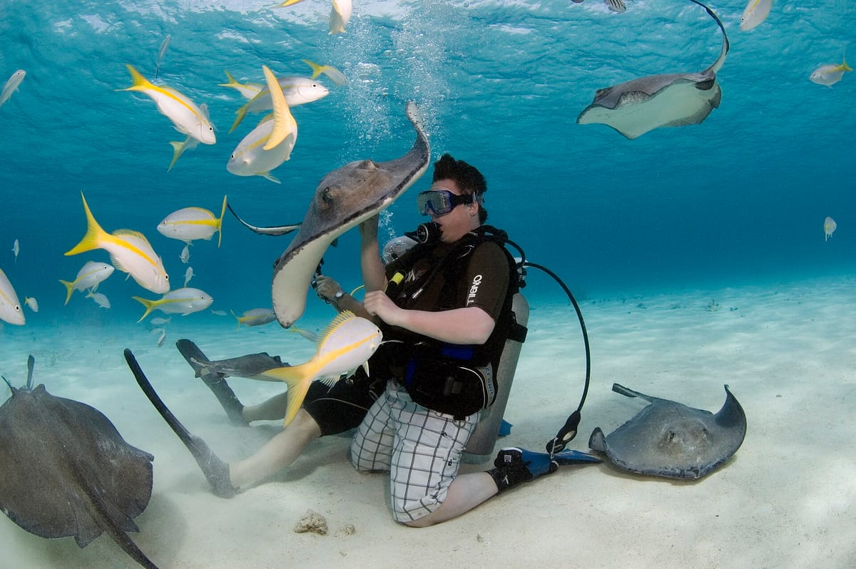 Stingray City Sandbar