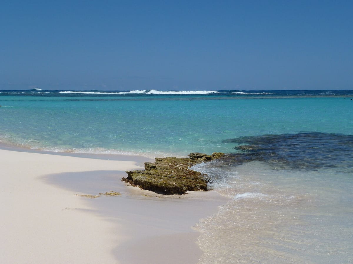 Loblolly Bay