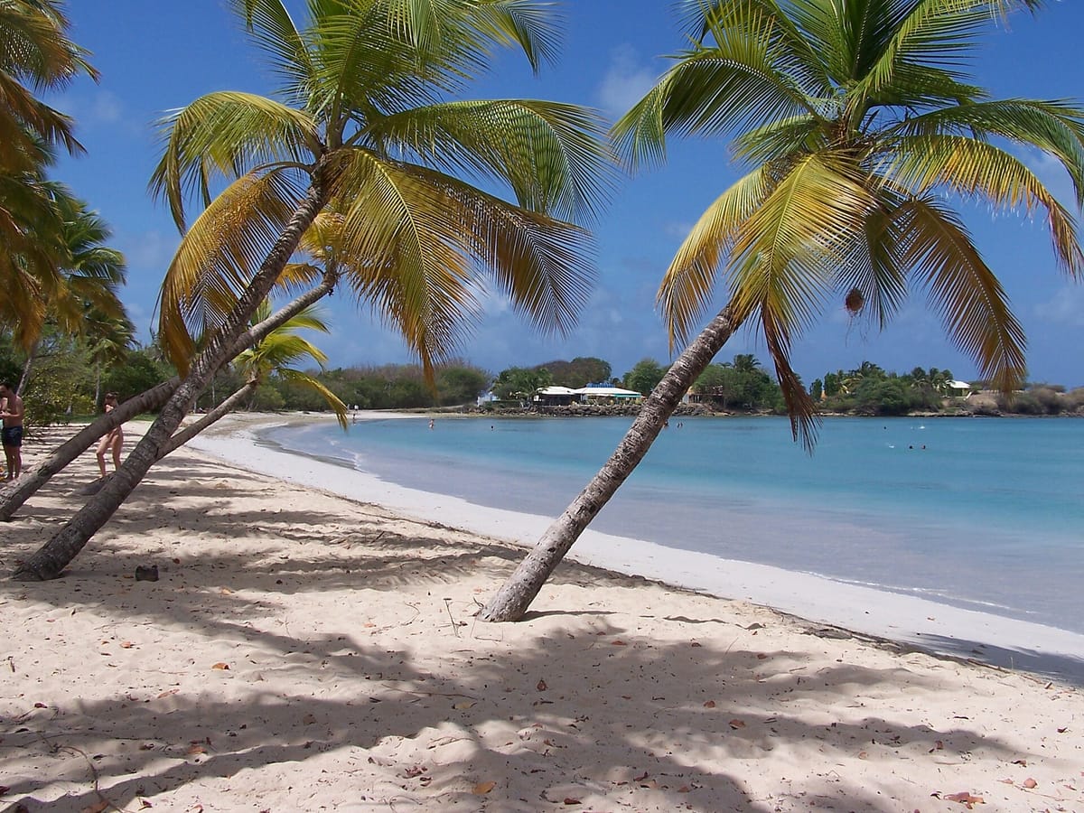 Plage des Salines (Grande Anse des Salines)