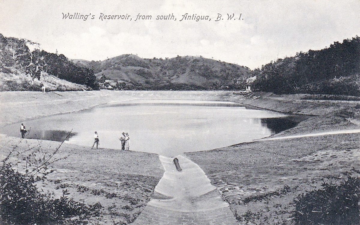Wallings Nature Reserve