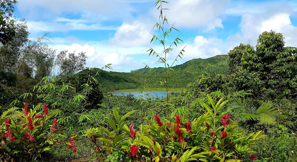 Grand Etang National Park & Forest Reserve
