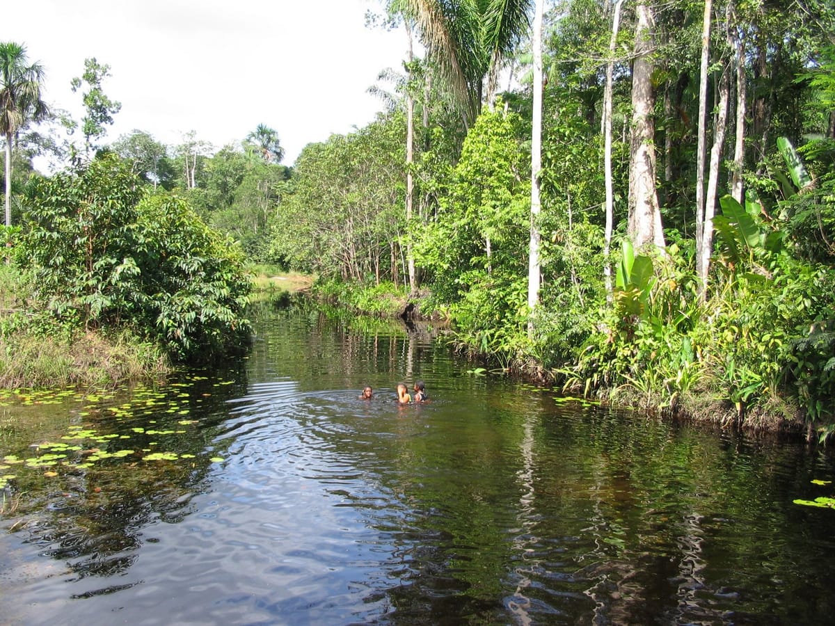 Colakreek