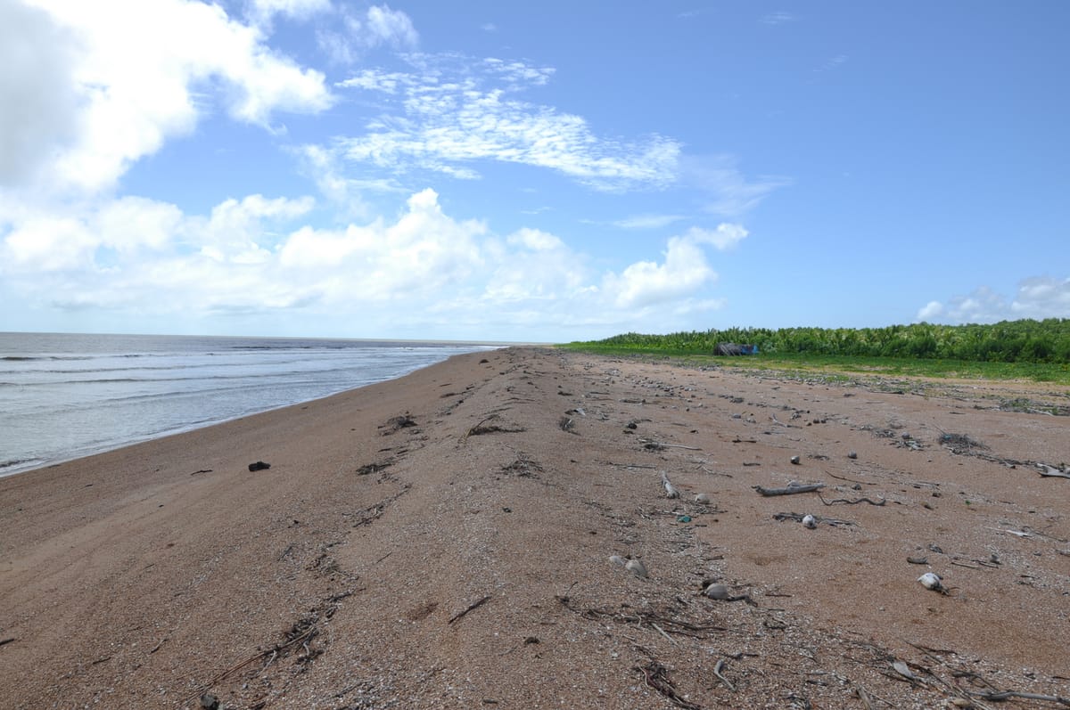 Shell Beach