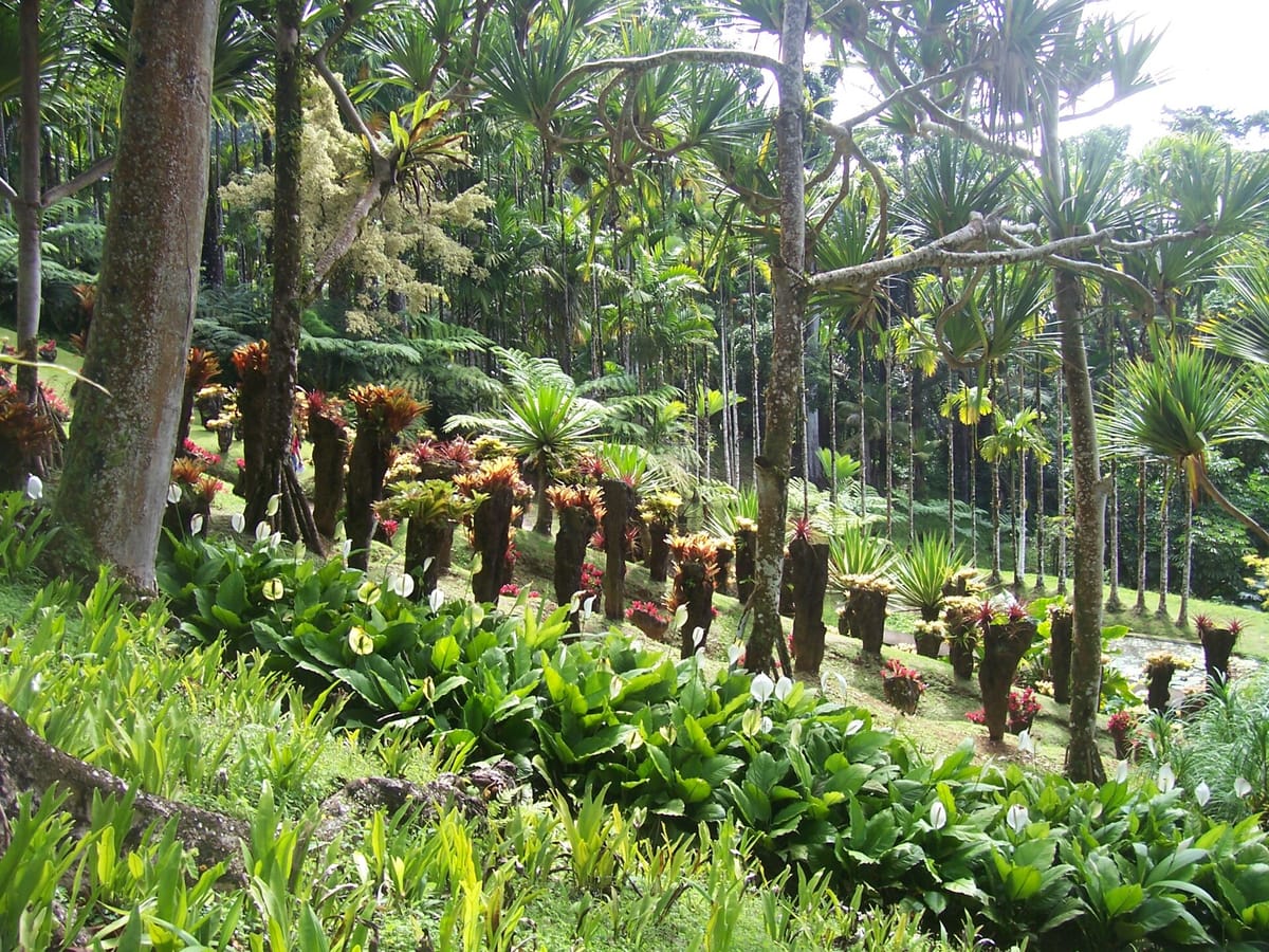 Jardin de Balata