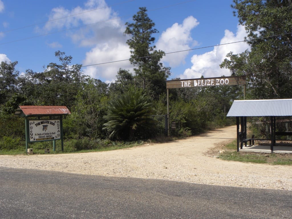 The Belize Zoo