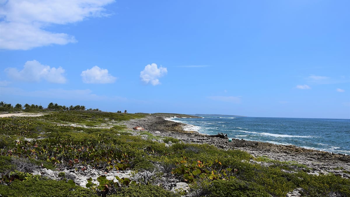 Réserve Naturelle Nationale de Saint-Martin