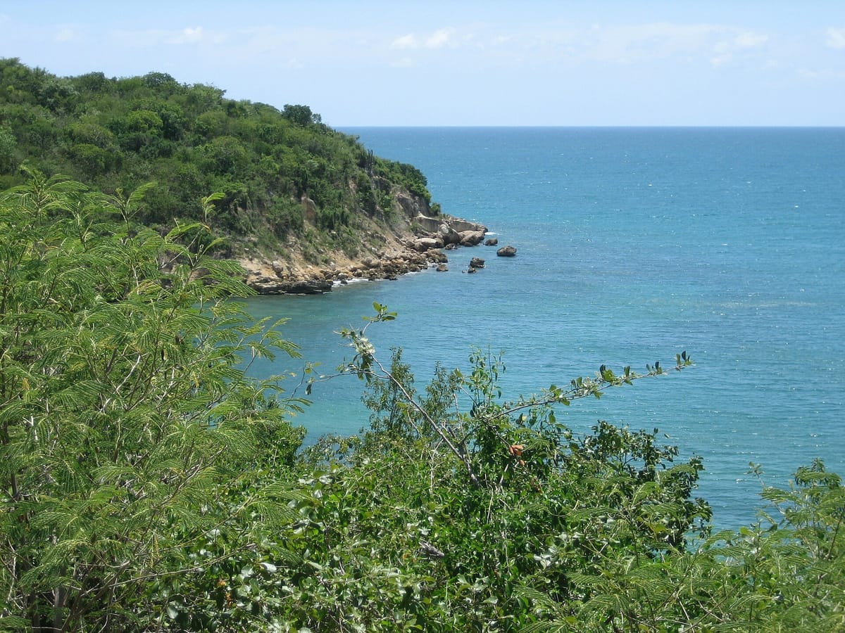 Guánica State Forest (Bosque Seco de Guánica)