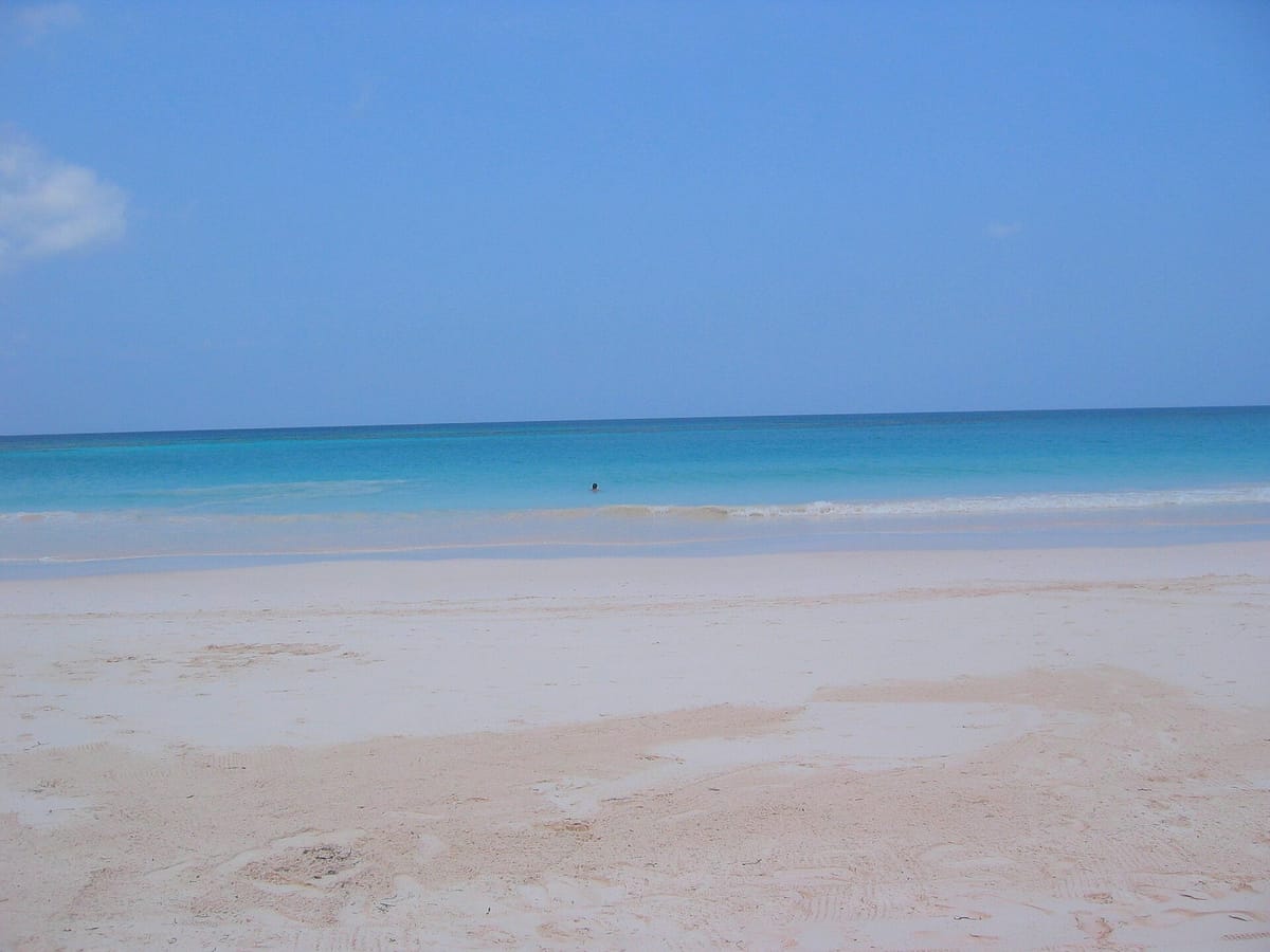 Pink Sands Beach