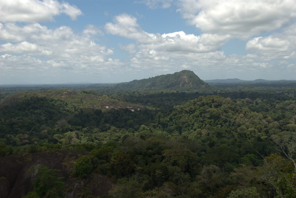 Central Suriname Nature Reserve